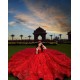 Off Shoulder Birthday Party Gowns Red Quince Dress With Bow