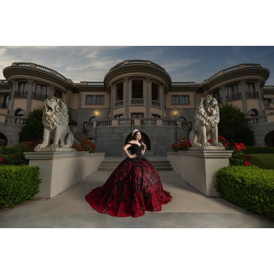 Off Shoulder Black On Red Quinceanera Dresses V Neck 15 Dress