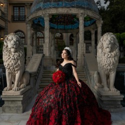 Off Shoulder Black On Red Quinceanera Dresses V Neck 15 Dress