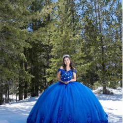 Off Shoulder Blue Quinceanera Dresses Lace Appliques V Neck 15 Dress