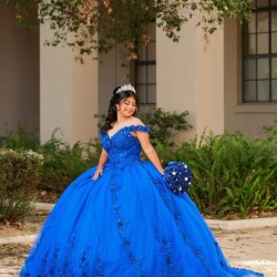 Off Shoulder Blue Quinceanera Dresses V Neck 15 Dress With 3D Flower