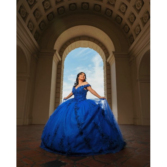 Off Shoulder Blue Quinceanera Dresses V Neck 15 Dress With 3D Flower