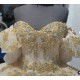 Off Shoulder Champagne Quince Dress Sweetheart Crystal Ball Gown 15 Dresses