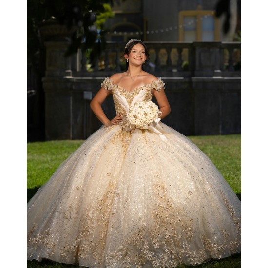 Off Shoulder Girl 15 Birthday Party Gowns Champagne Quinceanera Dress