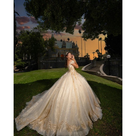 Off Shoulder Girl 15 Birthday Party Gowns Champagne Quinceanera Dress