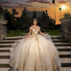 Off Shoulder Girl 15 Birthday Party Gowns Champagne Quinceanera Dress