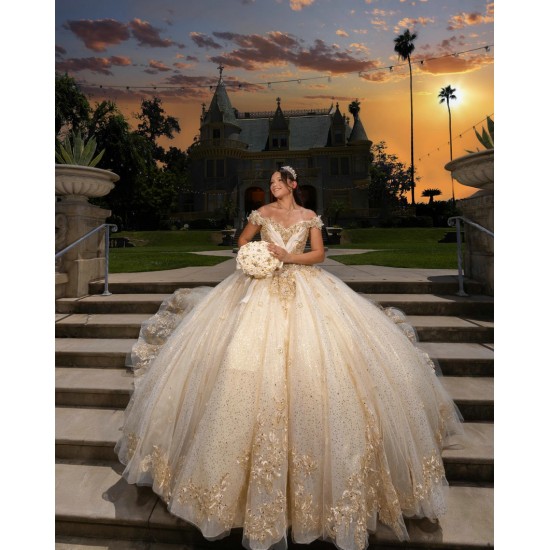 Off Shoulder Girl 15 Birthday Party Gowns Champagne Quinceanera Dress