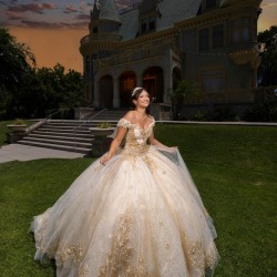 Off Shoulder Girl 15 Birthday Party Gowns Champagne Quinceanera Dress