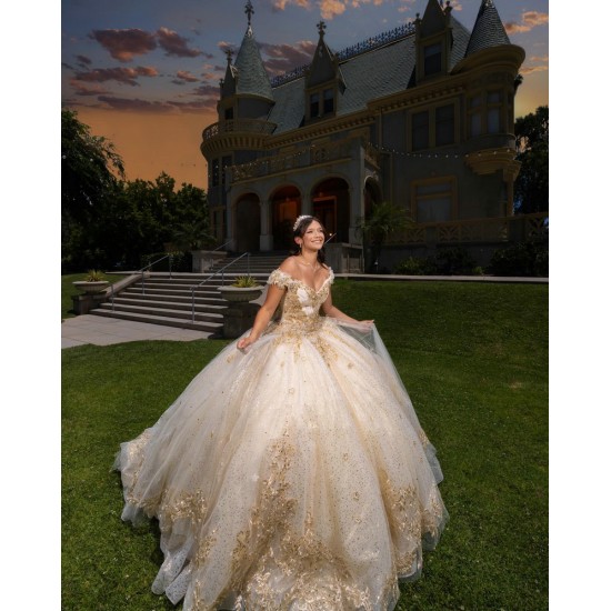 Off Shoulder Girl 15 Birthday Party Gowns Champagne Quinceanera Dress