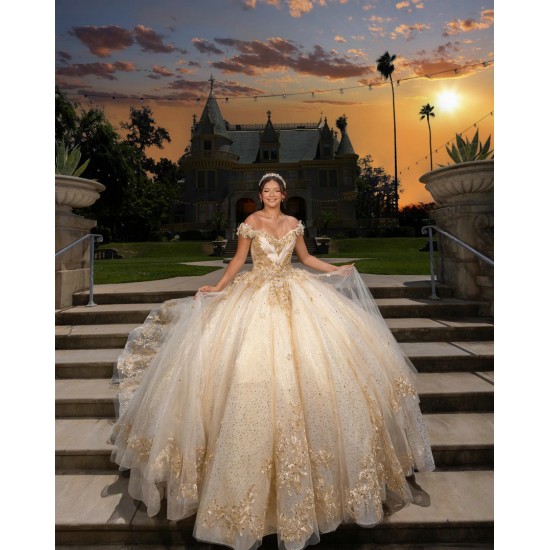 Off Shoulder Girl 15 Birthday Party Gowns Champagne Quinceanera Dress