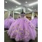 Off Shoulder Lilac Quinceanera Dress Sweetheart Neck 15 Dresses Lace Leaf Ball Gown