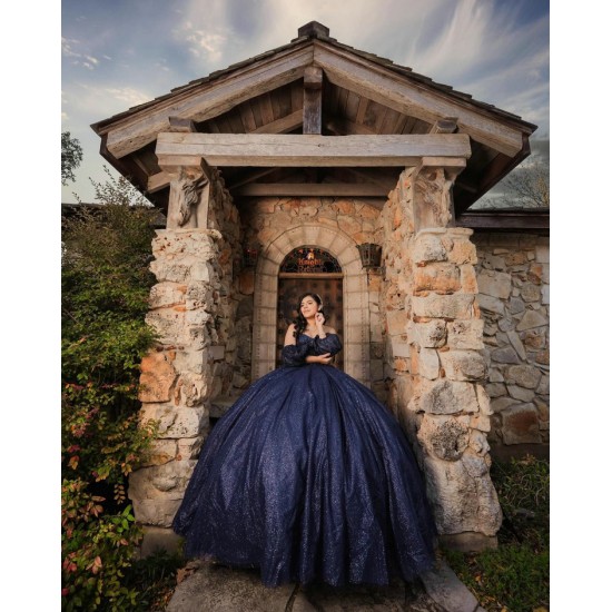 Off Shoulder Navy Blue Quinceanera Dress Sweet 15 Gowns Princess Dresses