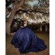 Off Shoulder Navy Blue Quinceanera Dress Sweet 15 Gowns Princess Dresses