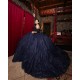 Off Shoulder Navy Blue Quinceanera Dress Sweet 15 Gowns Princess Dresses