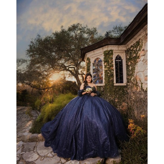 Off Shoulder Navy Blue Quinceanera Dress Sweet 15 Gowns Princess Dresses