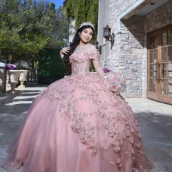 Off Shoulder Pink Quinceanera Dress Sheer Bodice Sweetheart Neck 15 Dresses