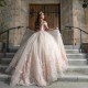 Off Shoulder Pink Quinceanera Dresses Sweetheart Neck 3D Flowers 15 Dress