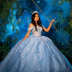 Off Shoulder Quince Dress Sky Blue Vestidos De 15 Anos With 3D Butterfly