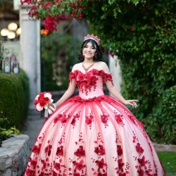 Off Shoulder Red Quinceanera Dress Sweetheart Neck 3D Flowers 15 Dresses