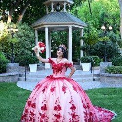 Off Shoulder Red Quinceanera Dress Sweetheart Neck 3D Flowers 15 Dresses