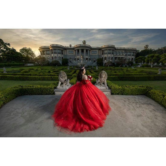 Off Shoulder Red Quinceanera Dresses Sweetheart Neck Ball Gown 15 Dress