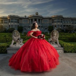 Off Shoulder Red Quinceanera Dresses Sweetheart Neck Ball Gown 15 Dress