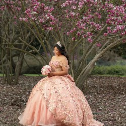 Off Shoulder Rose Gold Quinceanera Dresses Sweetheart Neck 15 Dress