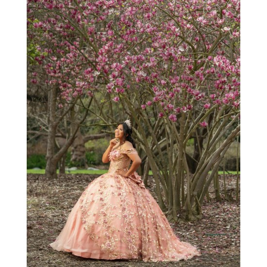 Off Shoulder Rose Gold Quinceanera Dresses Sweetheart Neck 15 Dress