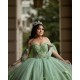 Off Shoulder Sage Green Quinceanera Dresses 15 Dress With 3D Flowers