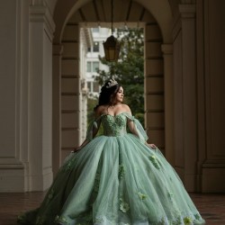 Off Shoulder Sage Green Quinceanera Dresses 15 Dress With 3D Flowers