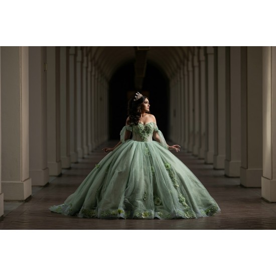 Off Shoulder Sage Green Quinceanera Dresses 15 Dress With 3D Flowers