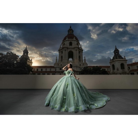 Off Shoulder Sage Green Quinceanera Dresses 15 Dress With 3D Flowers