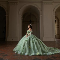 Off Shoulder Sage Green Quinceanera Dresses 15 Dress With 3D Flowers