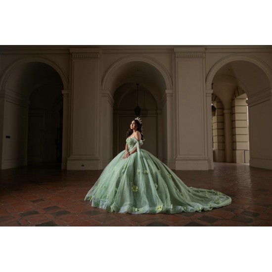 Off Shoulder Sage Green Quinceanera Dresses 15 Dress With 3D Flowers