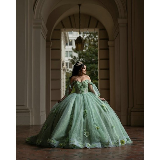 Off Shoulder Sage Green Quinceanera Dresses 15 Dress With 3D Flowers