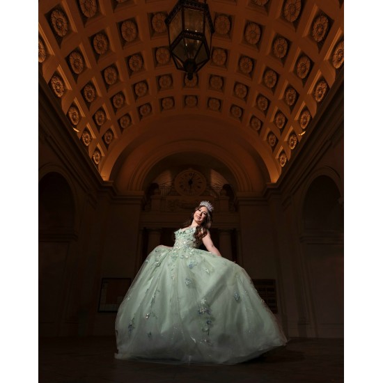 Off Shoulder Sage Green Quinceanera Dresses With 3D Flowers