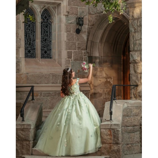 Off Shoulder Sage Green Quinceanera Dresses With 3D Flowers