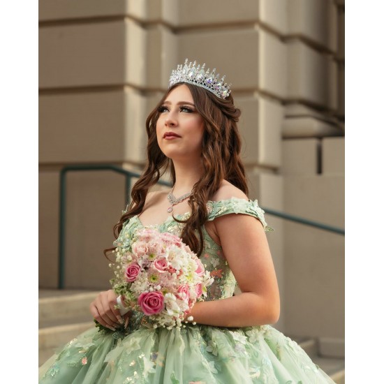 Off Shoulder Sage Green Quinceanera Dresses With 3D Flowers