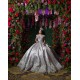 Off Shoulder Silver Quinceanera Dresses V Neck 15 Dress