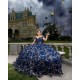 Off Shoulder Sweet 15 Gowns Navy Blue Quinceanera Dress 2024 Princess Dresses