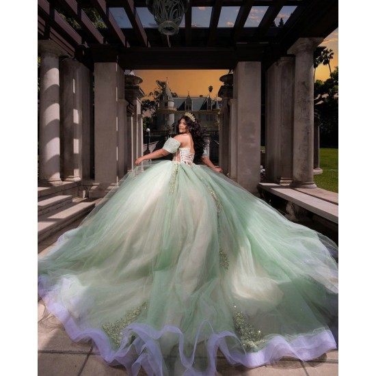 Off Shoulder Sweet 15 Gowns Sage Green Quinceanera Dress 2024 Princess Dresses