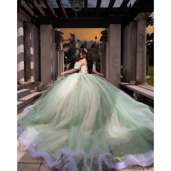 Off Shoulder Sweet 15 Gowns Sage Green Quinceanera Dress 2024 Princess Dresses