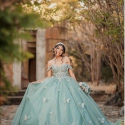 Off Shoulder Sweet 15 Gowns Sage Green Quinceanera Dress With 3D Butterfly