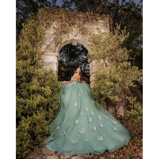 Off Shoulder Sweet 15 Gowns Sage Green Quinceanera Dress With 3D Butterfly