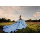 Off Shoulder Sweet 15 Gowns Sky Blue Quince Dress