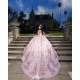 Off Shoulder Vestidos De 15 Anos Rose Gold Quince Dress Instagram Gowns