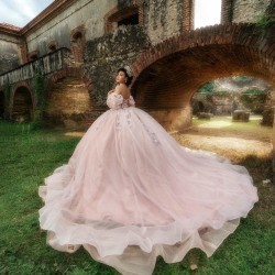 Pink Quince Dress Long Sleeve Vestidos De 15 Anos