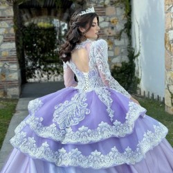 Princess Purple Quinceanera Dresses Rhinestones Long Sleeved Vestidos De 15 Anos