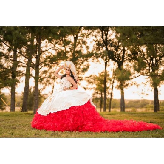 Red On White Quince Dress Ruffled Sleeveless Sweet 15 Gowns