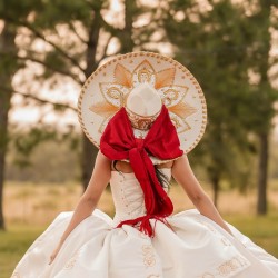 Red On White Quince Dress Ruffled Sleeveless Sweet 15 Gowns